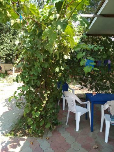 Hostal Tikhaya Gavan Guest House