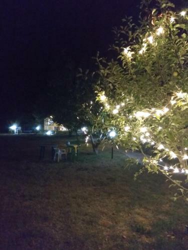 Hostal Tikhaya Gavan Guest House