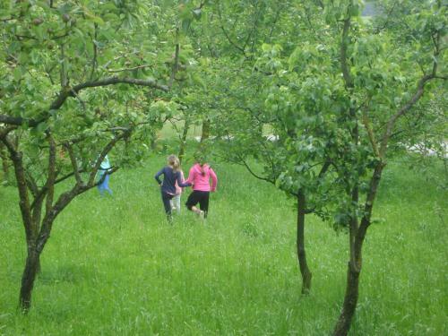 Agroturismo Merke? Guest House