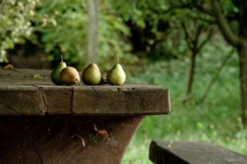 Agroturismo Merke? Guest House
