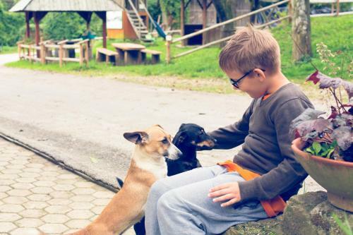 Agroturismo Farm Stay Loger