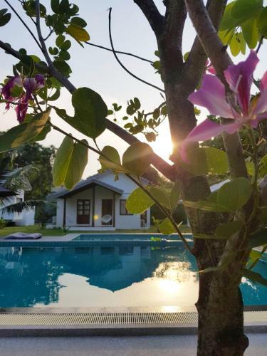 Silan Residence Koh Phangan