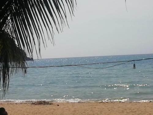 Hotel Mae Haad Cove Bungalow