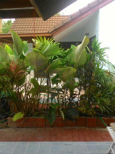 Golden Sea Beach Villa And Resort