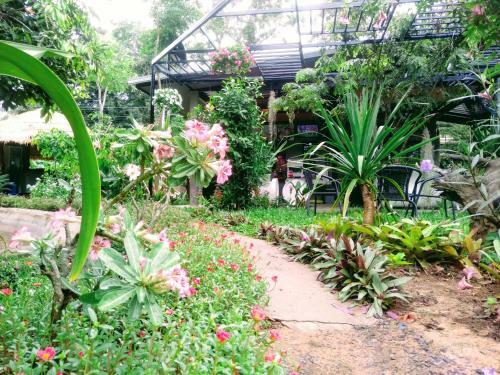 Hotel Chomnok Chommai Resort