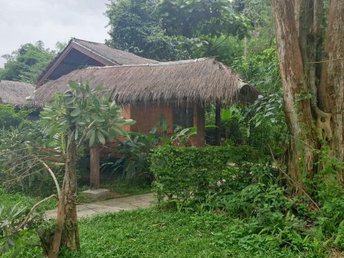 Hotel Chiang Dao Hut Resort