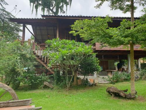 Hotel Chiang Dao Hut Resort