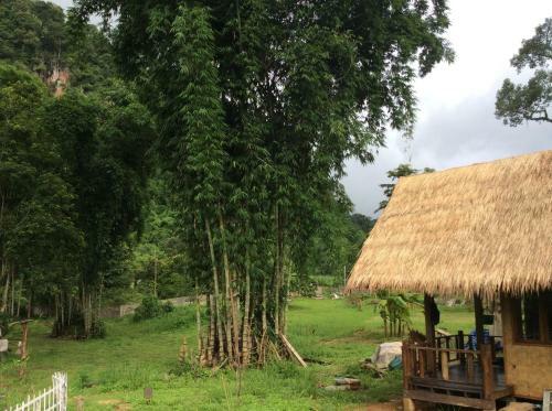 Hotel Chiang Dao Hut Resort