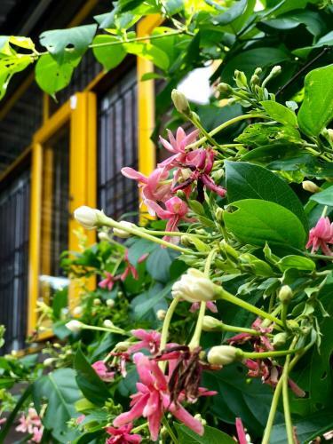 Phor Kub Mae Homestay