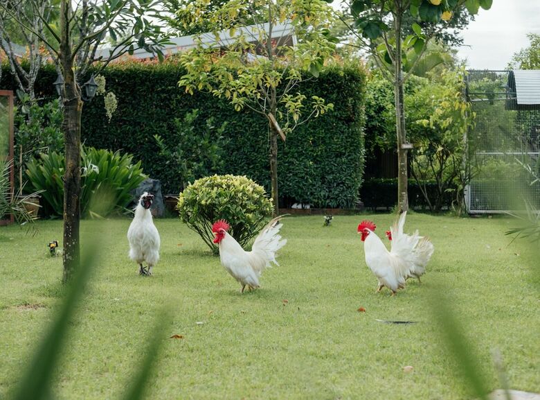 Hotel Rai Fahpratan Home And Garden