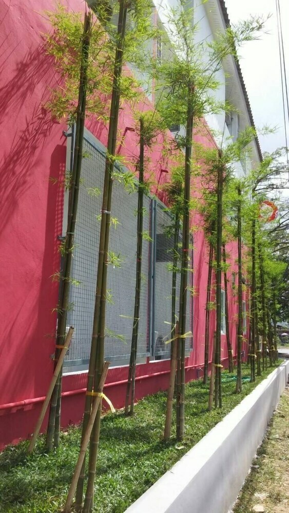 Hotel Sino @ Thungsong