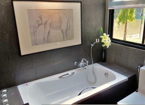 Hotel Sappraiwan Elephant Resort&sanctuary