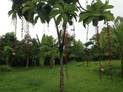 Hotel Kienglerng Resort