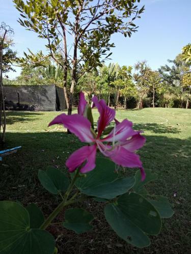Hotel Kienglerng Resort