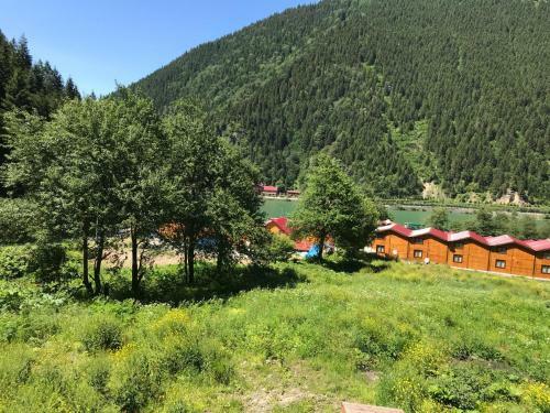 Hotel Amiral Park Uzung�l