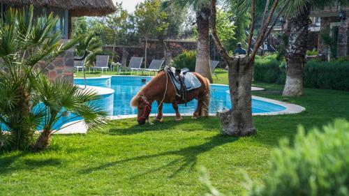 Assos Alis Farm Boutique Hotel & Spa