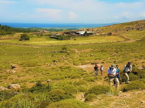 Agroturismo Alterna K�y Evi