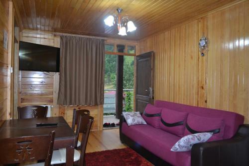 Ozturk Apart