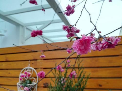 Bed & Breakfast Cloud & Green Private Guest House (B&b)