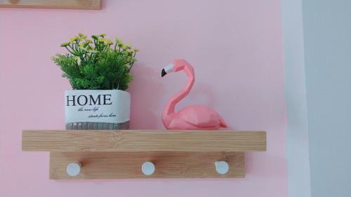 Bed & Breakfast Star Coffee & Homestay