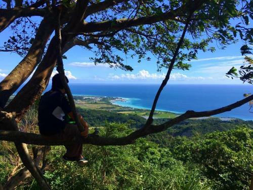 Bed & Breakfast Juhu Farmstay