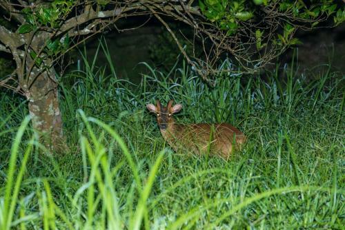 Bed & Breakfast Juhu Farmstay