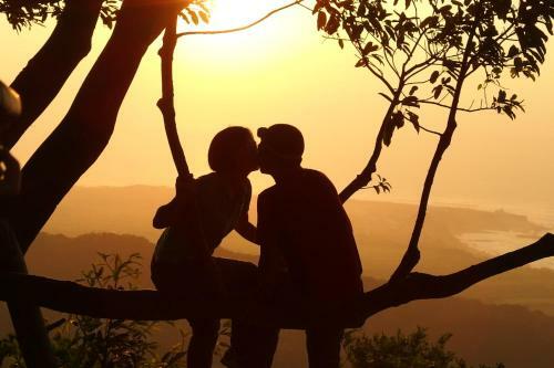 Bed & Breakfast Juhu Farmstay