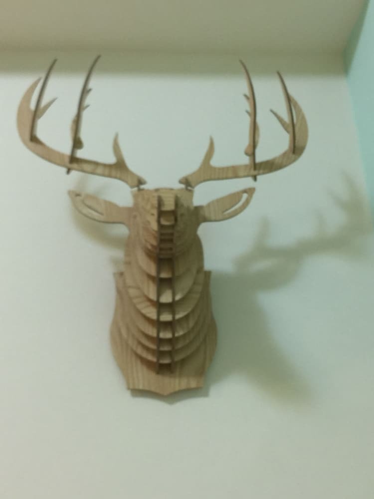 Hotel Summerle No.11