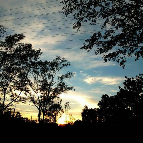 Amrita Green Retreat