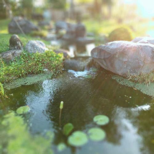 Amrita Green Retreat