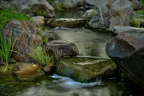 Amrita Green Retreat