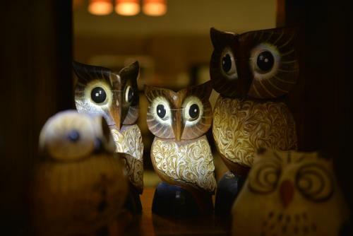 Amrita Green Retreat