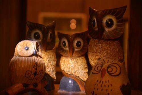 Amrita Green Retreat