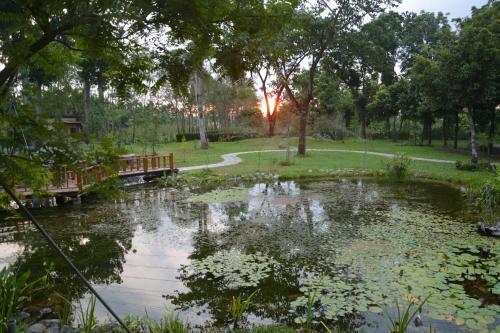 Amrita Green Retreat