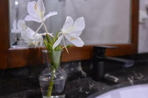 Amrita Green Retreat