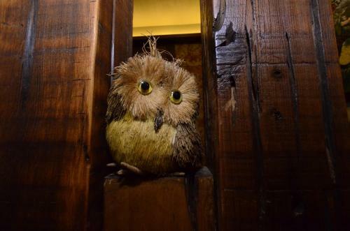 Amrita Green Retreat