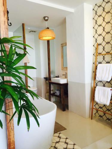 Bed & Breakfast Il Piccolo Polpo Hotel