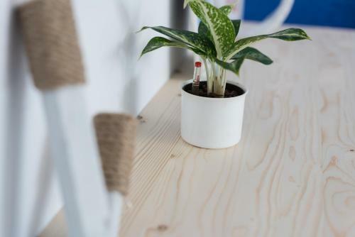 Hostal Greece Little Castle