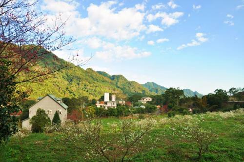 Lodge Olive-tree Village