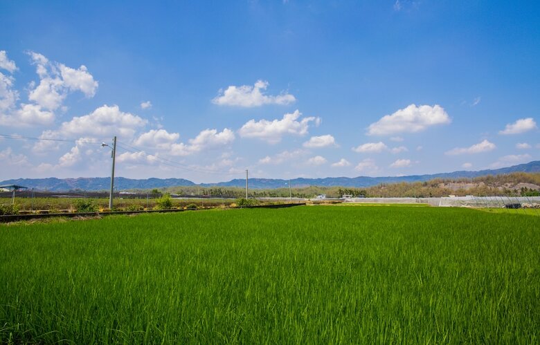 Agroturismo Shangping 201 B&B
