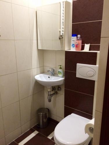 Apartment Lviv Centre Doroshenka 19