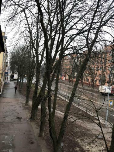 Apartment In The City Center