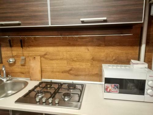 Apartment 2 Bedrooms On Mayakovskogo, Meduniversity