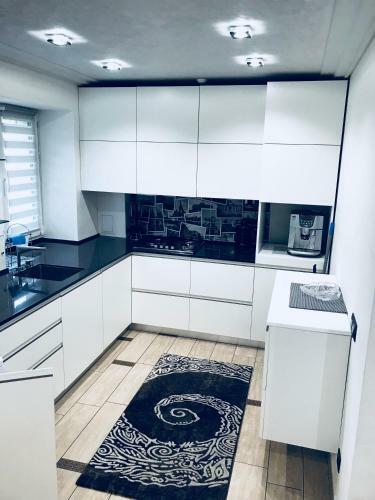 Apartment At Kvitka Polonyny