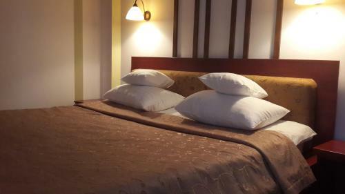 Posada Hotel Dzherela