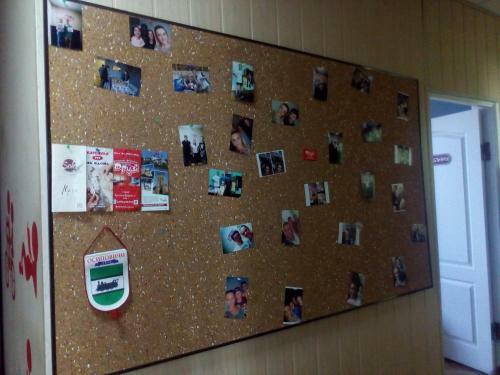 Hostel Druzi