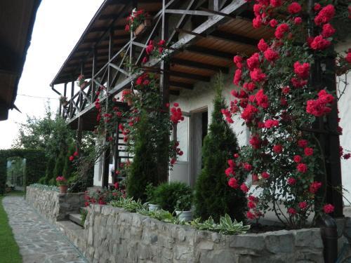 Hostal Zorianyy Guest House