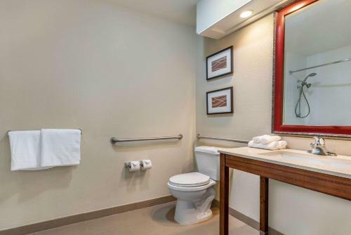 Hotel Comfort Inn Cordelia