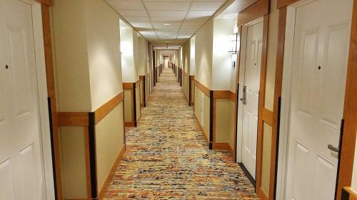Apartamento Marriott Grand Res #3167 Condo