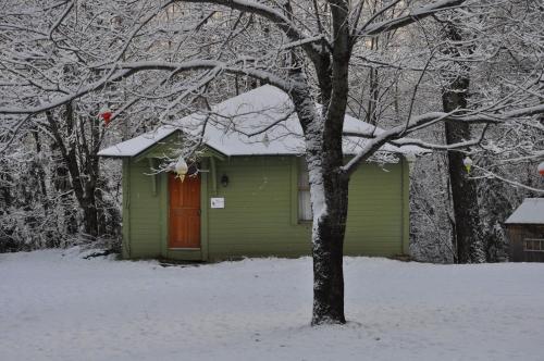 The Woods Lodge
